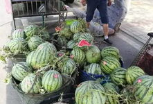 辽源吃瓜爆料事件真相,揭开真相背后的曲折历程